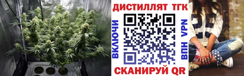 хочу наркоту  Ельня  ТГК THC oil 